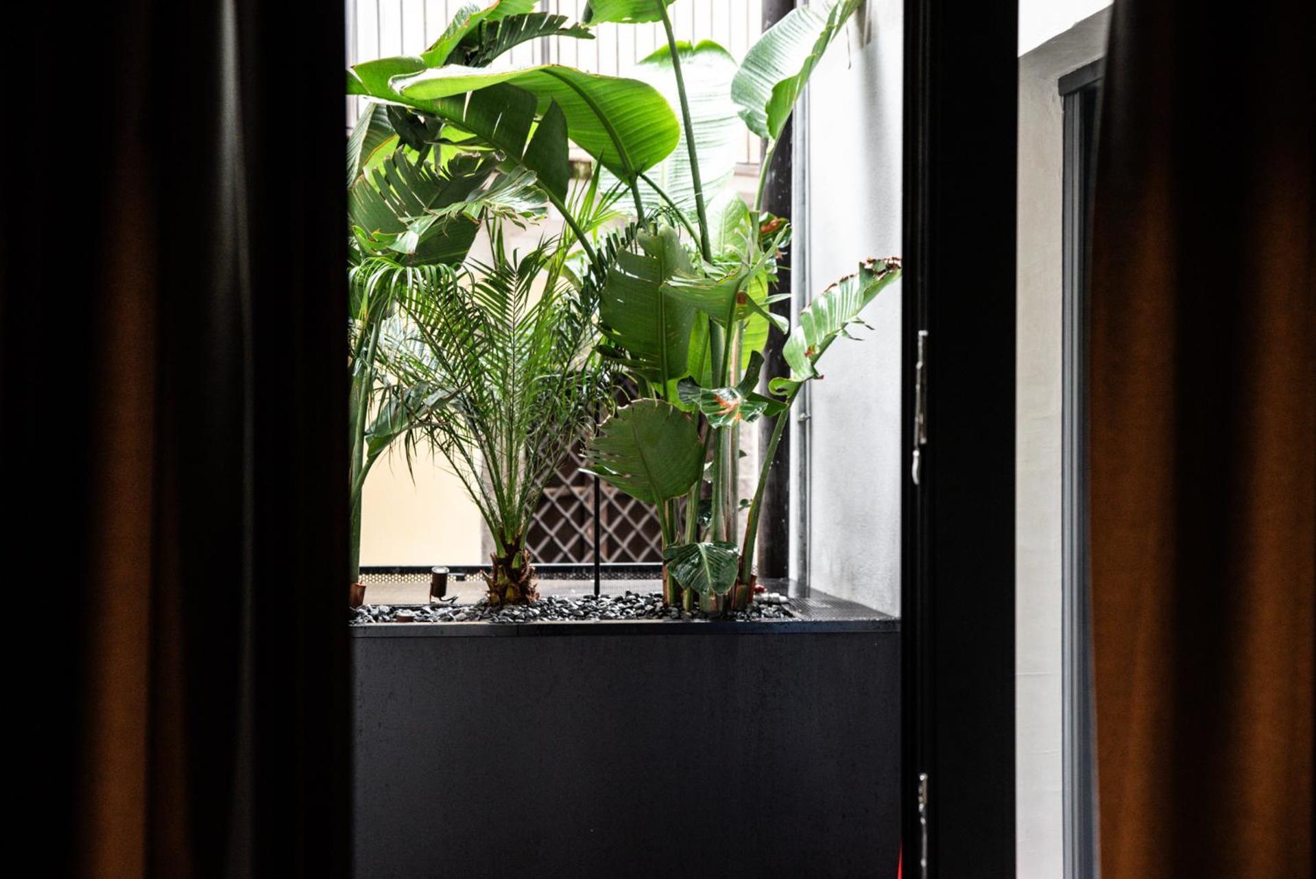 Terme Di Bacco - Design Apartaments And Spa Catania Ngoại thất bức ảnh